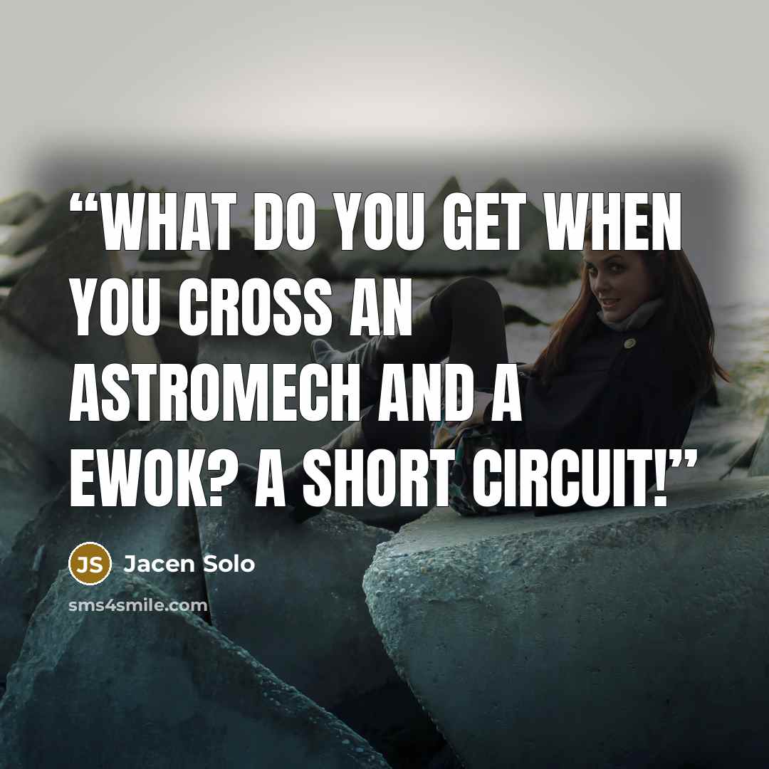 “What do you get when you cross an Astromech and a Ewok? A short circuit!” quote by Jacen Solo