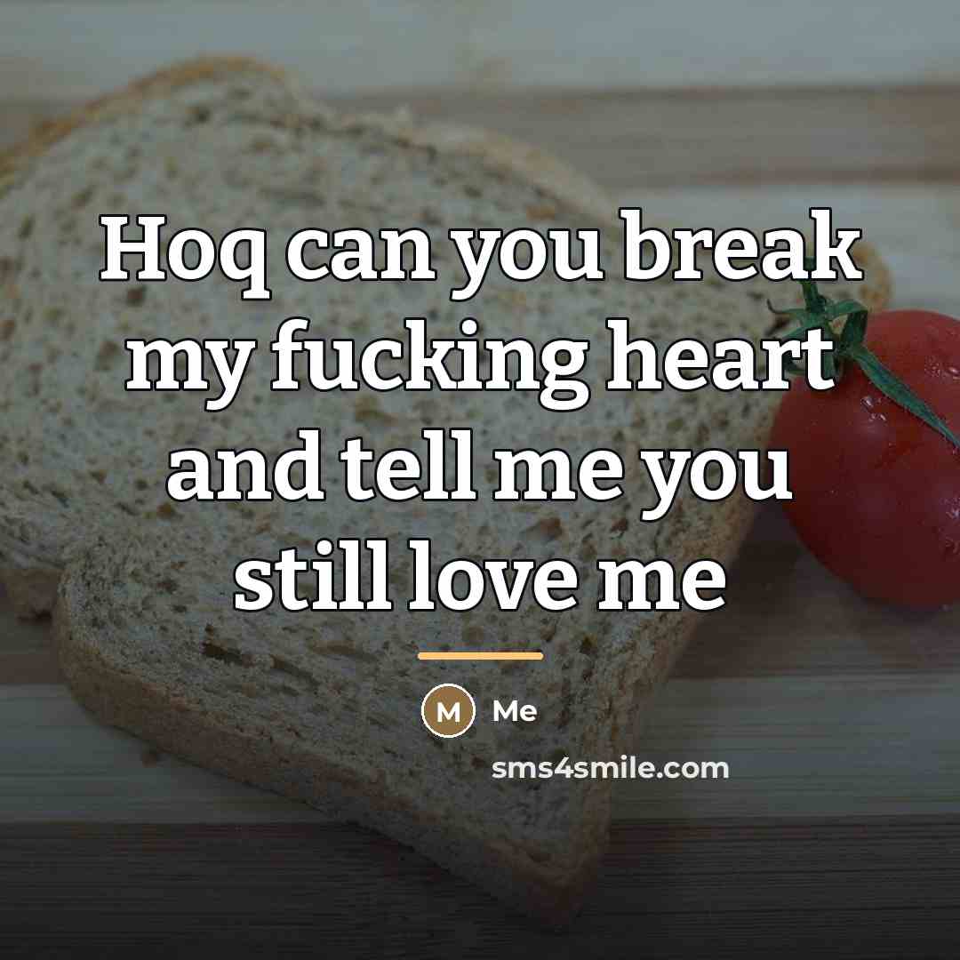 “Hoq can you break my fucking heart and tell me…” quote by Me
