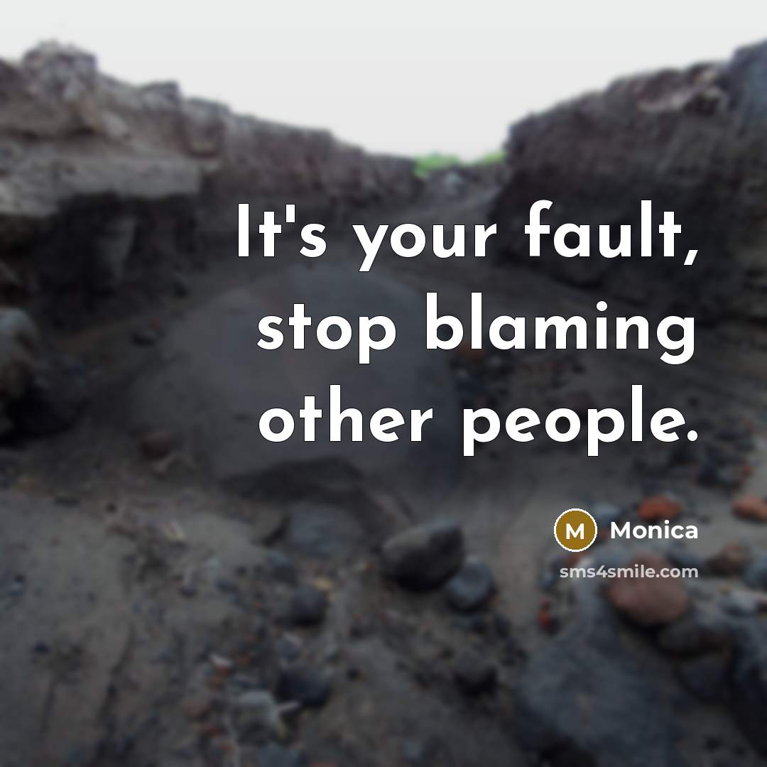 “It's your fault, stop blaming other people.…” quote by Monica