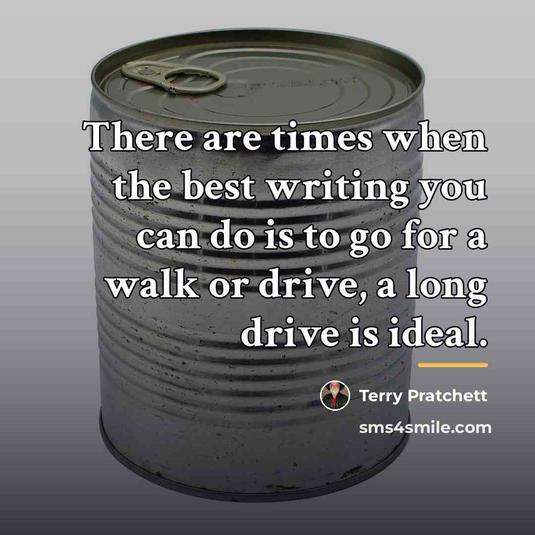 “There are times when the best writing you can do…” quote by Terry Pratchett