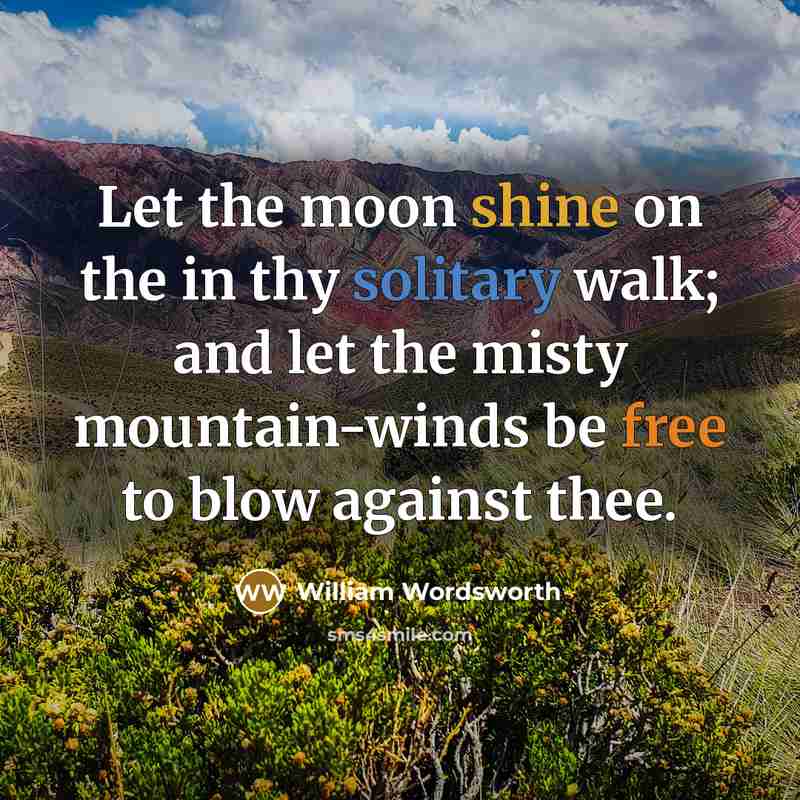 “Let the moon shine on the in thy solitary walk;…” quote by William Wordsworth
