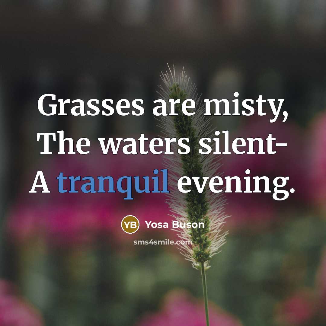 “Grasses are misty, The waters silent- A tranquil evening.…” quote by Yosa Buson