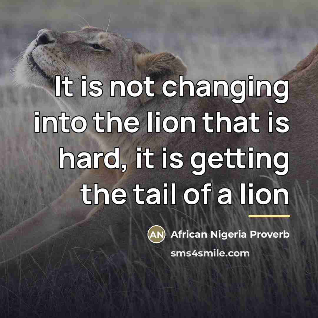 “It is not changing into the lion that is hard,…” quote by African Nigeria Proverb