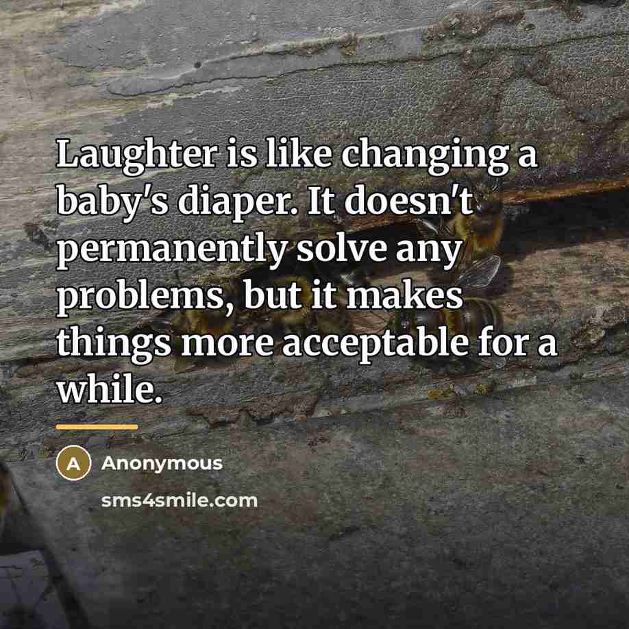 “Laughter is like changing a baby's diaper. It doesn't permanently…” quote by Anonymous
