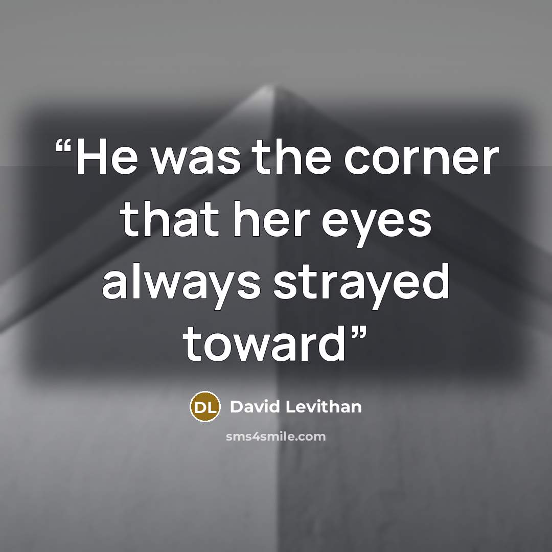 “He was the corner that her eyes always strayed toward” quote by David Levithan