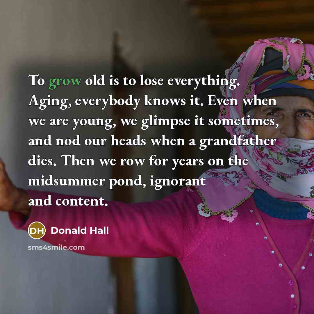 “To grow old is to lose everything. Aging, everybody knows…” quote by Donald Hall
