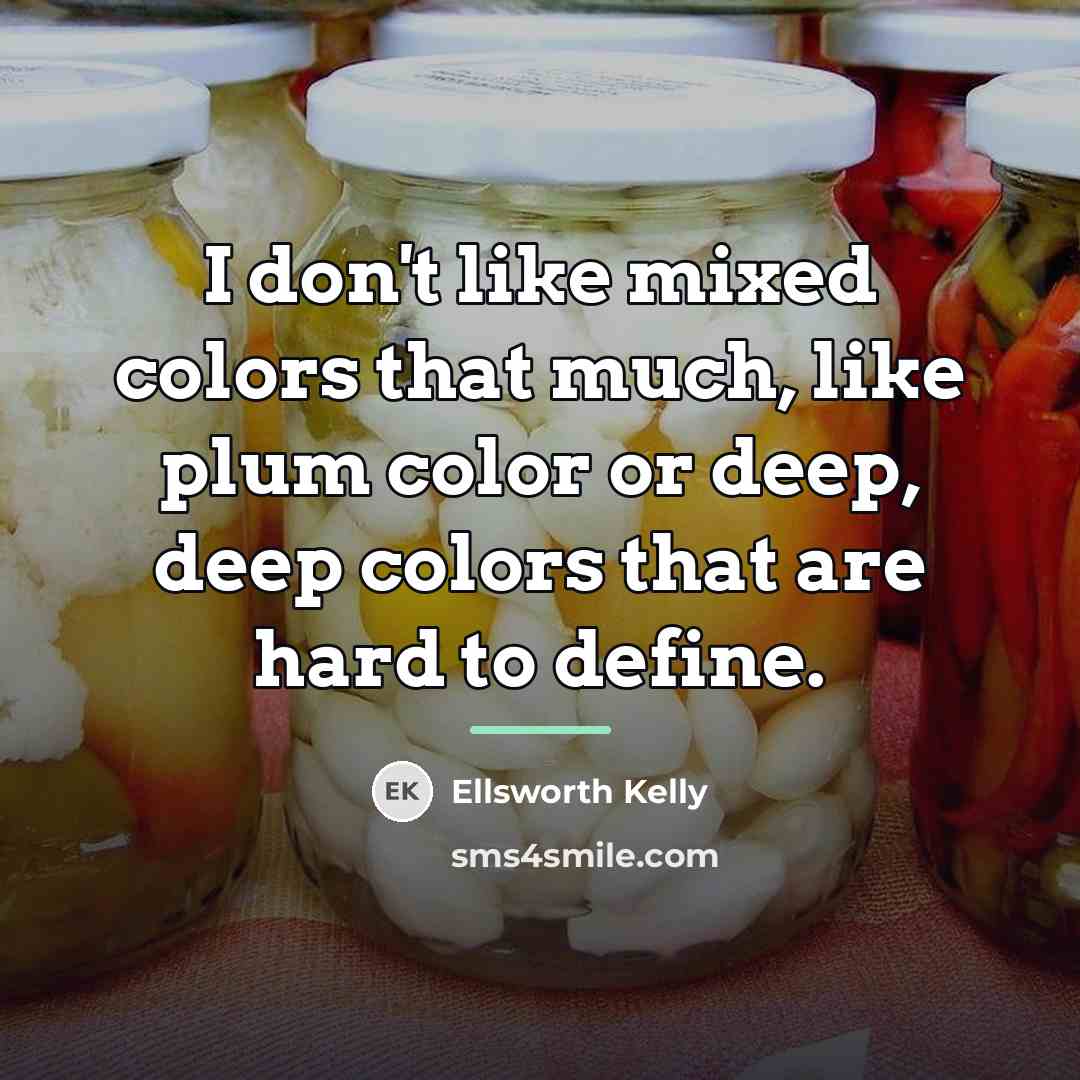 “I don't like mixed colors that much, like plum color…” quote by Ellsworth Kelly
