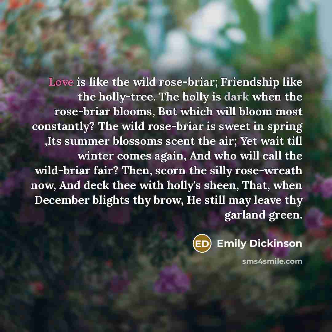 “Love is like the wild rose-briar; Friendship like the holly-tree.…” quote by Emily Dickinson