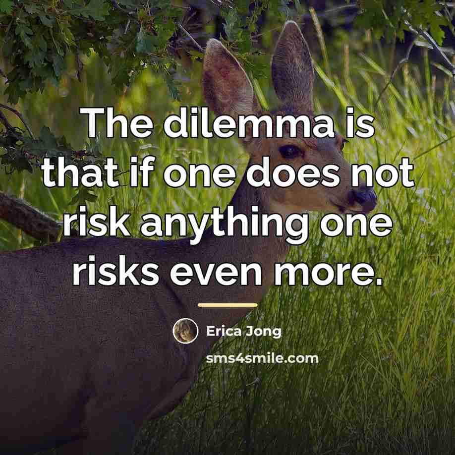“The dilemma is that if one does not risk anything…” quote by Erica Jong
