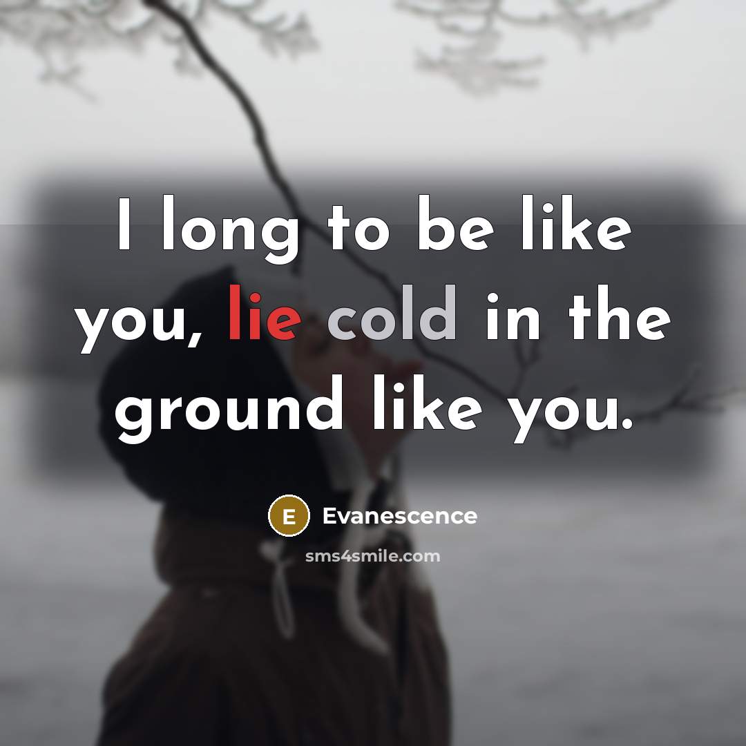“I long to be like you, lie cold in the ground like you.” quote by Evanescence