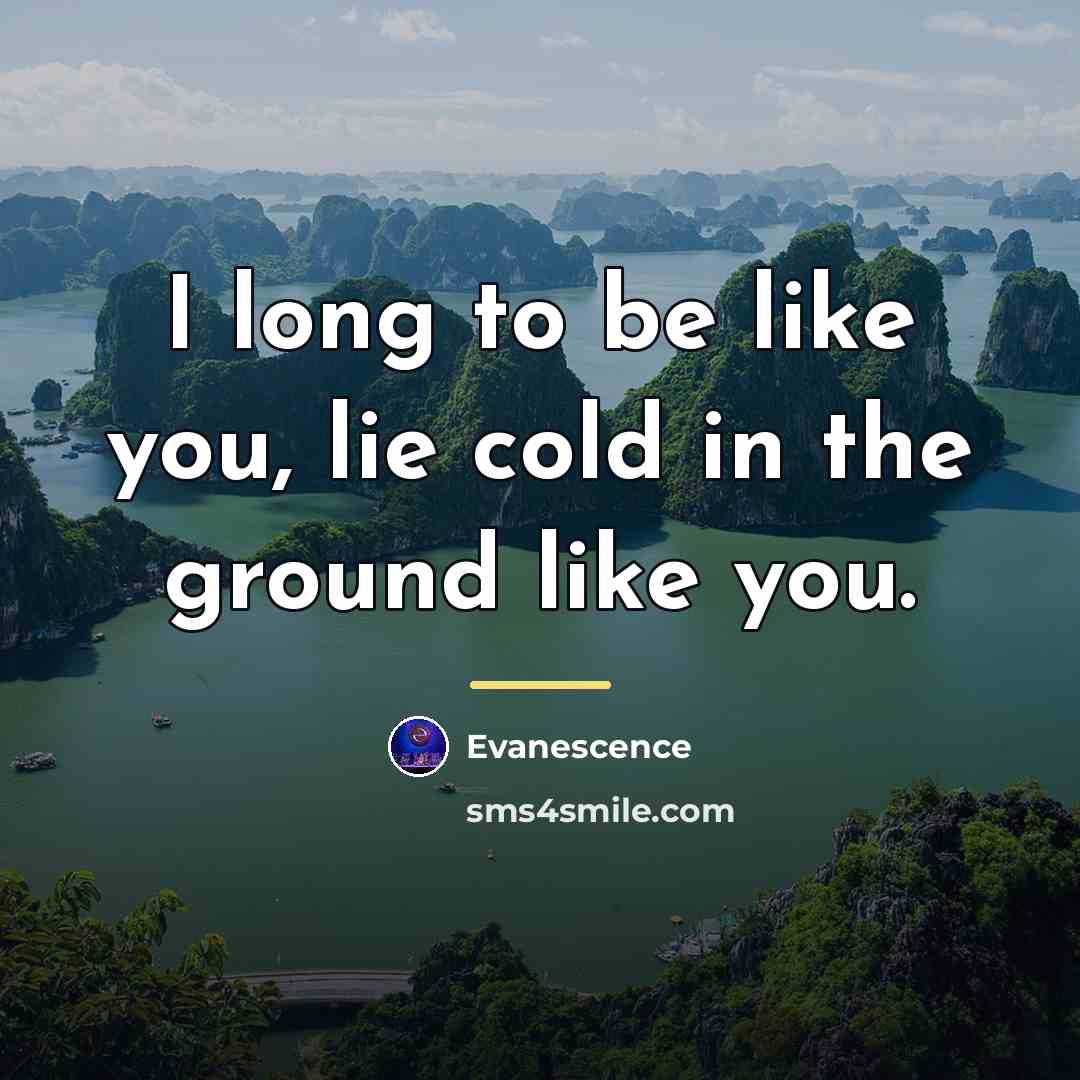 “I long to be like you, lie cold in the…” quote by Evanescence
