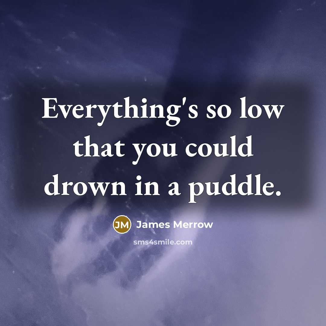 “Everything's so low that you could drown in a puddle.” quote by James Merrow