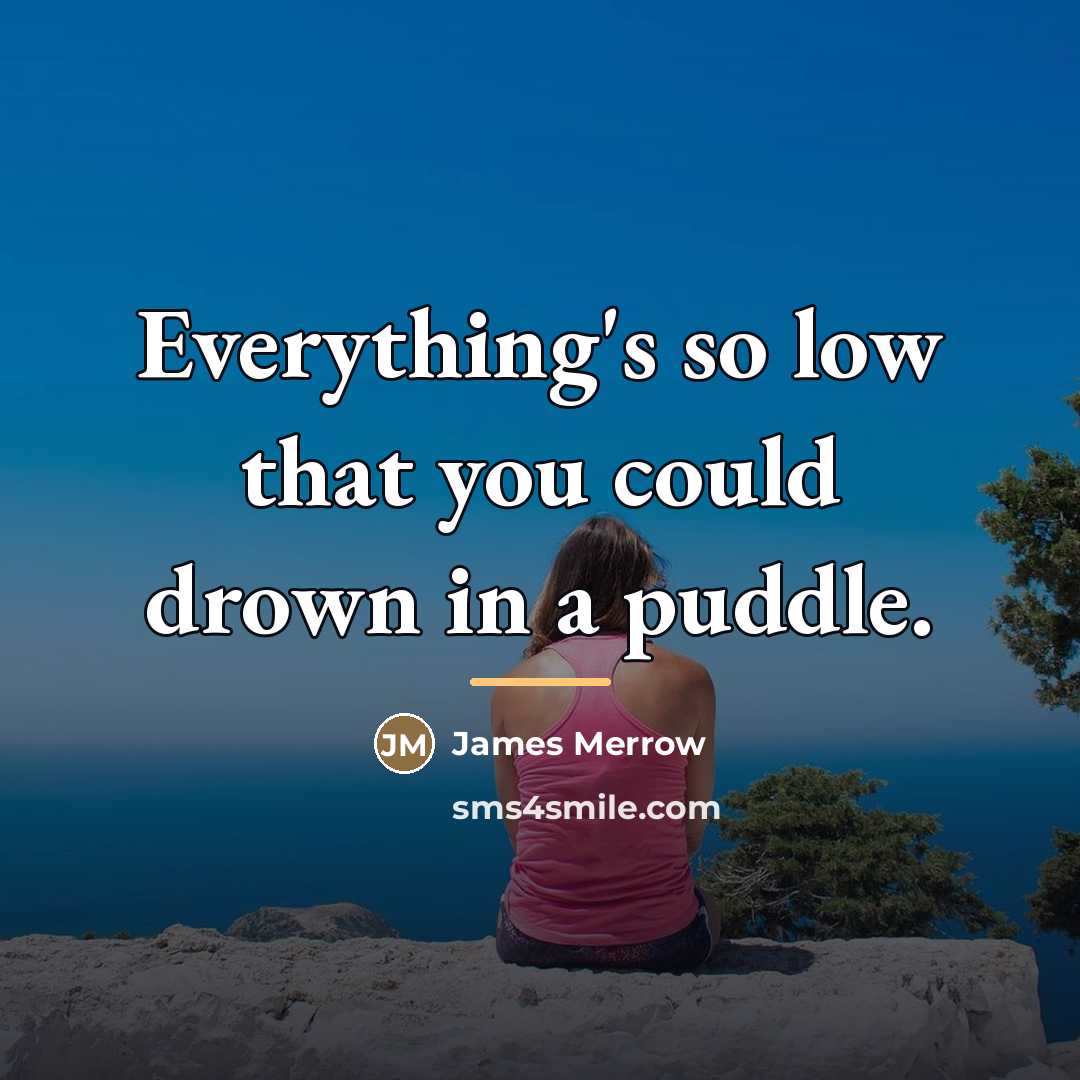 “Everything's so low that you could drown in a puddle.…” quote by James Merrow
