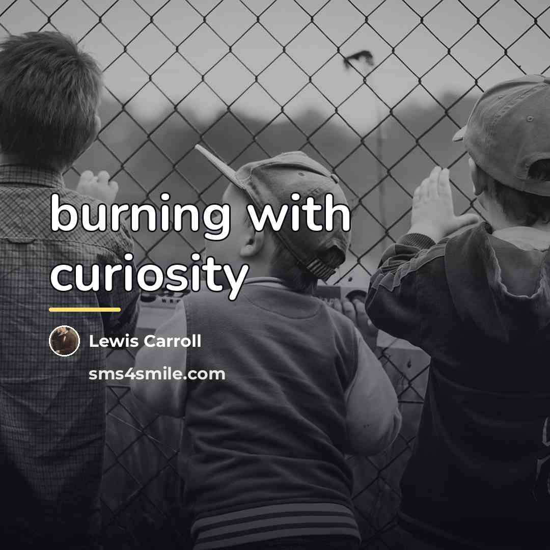 “burning with curiosity…” quote by Lewis Carroll