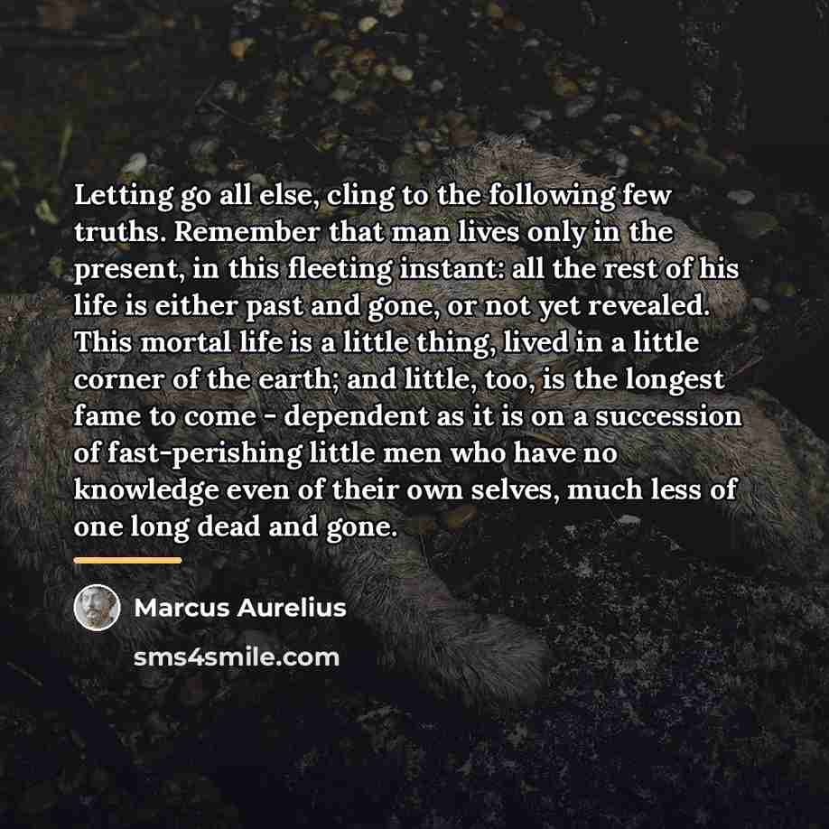 “Letting go all else, cling to the following few truths.…” quote by Marcus Aurelius