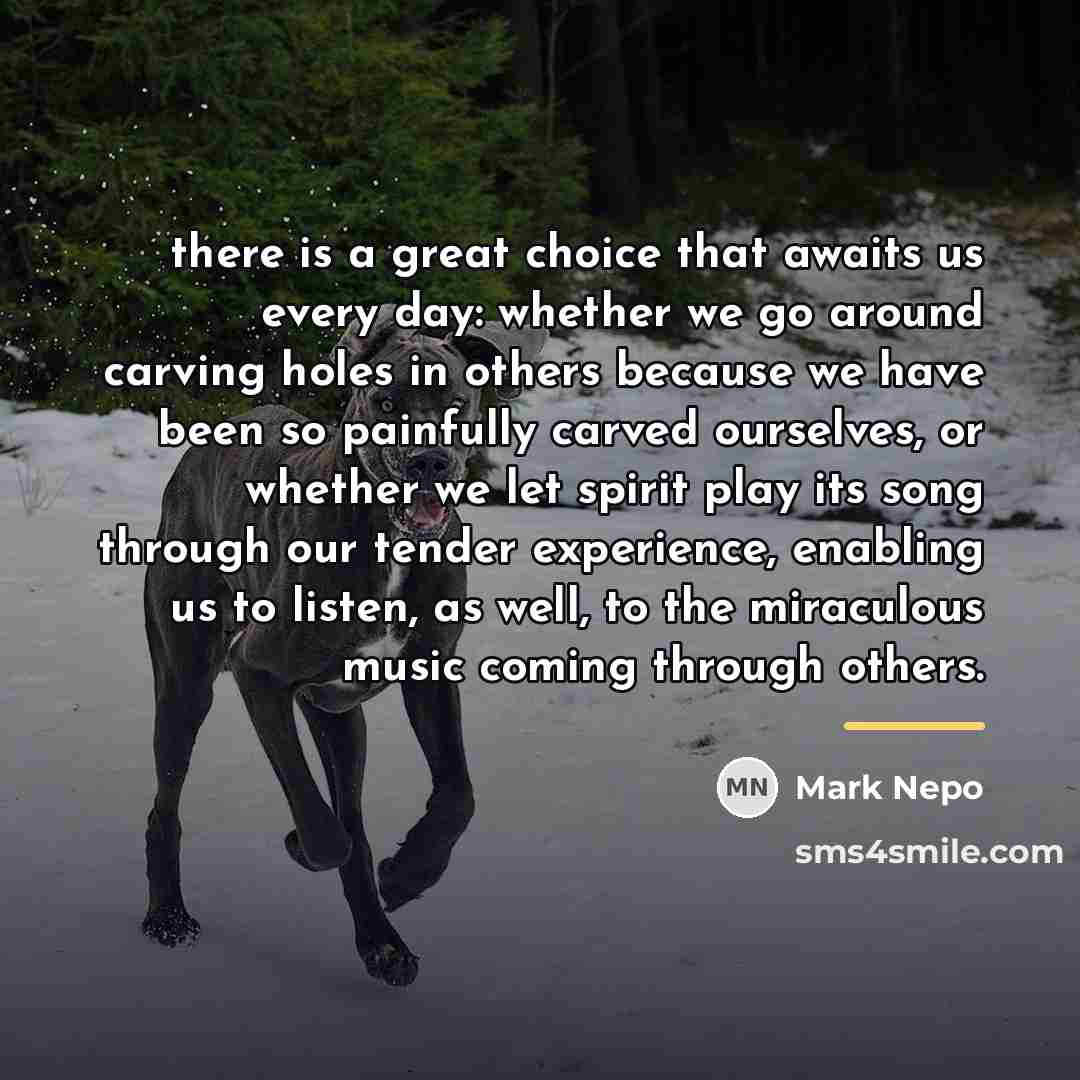 “there is a great choice that awaits us every day:…” quote by Mark Nepo
