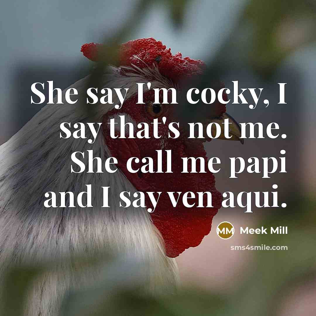 “She say I'm cocky, I say that's not me. She…” quote by Meek Mill