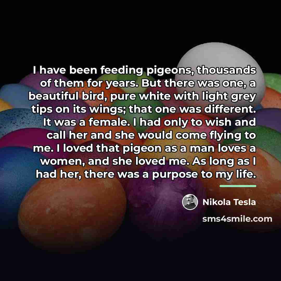 “I have been feeding pigeons, thousands of them for years.…” quote by Nikola Tesla