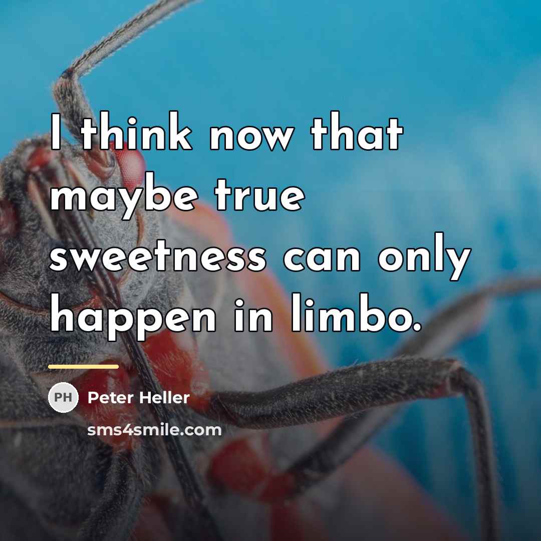 “I think now that maybe true sweetness can only happen…” quote by Peter Heller