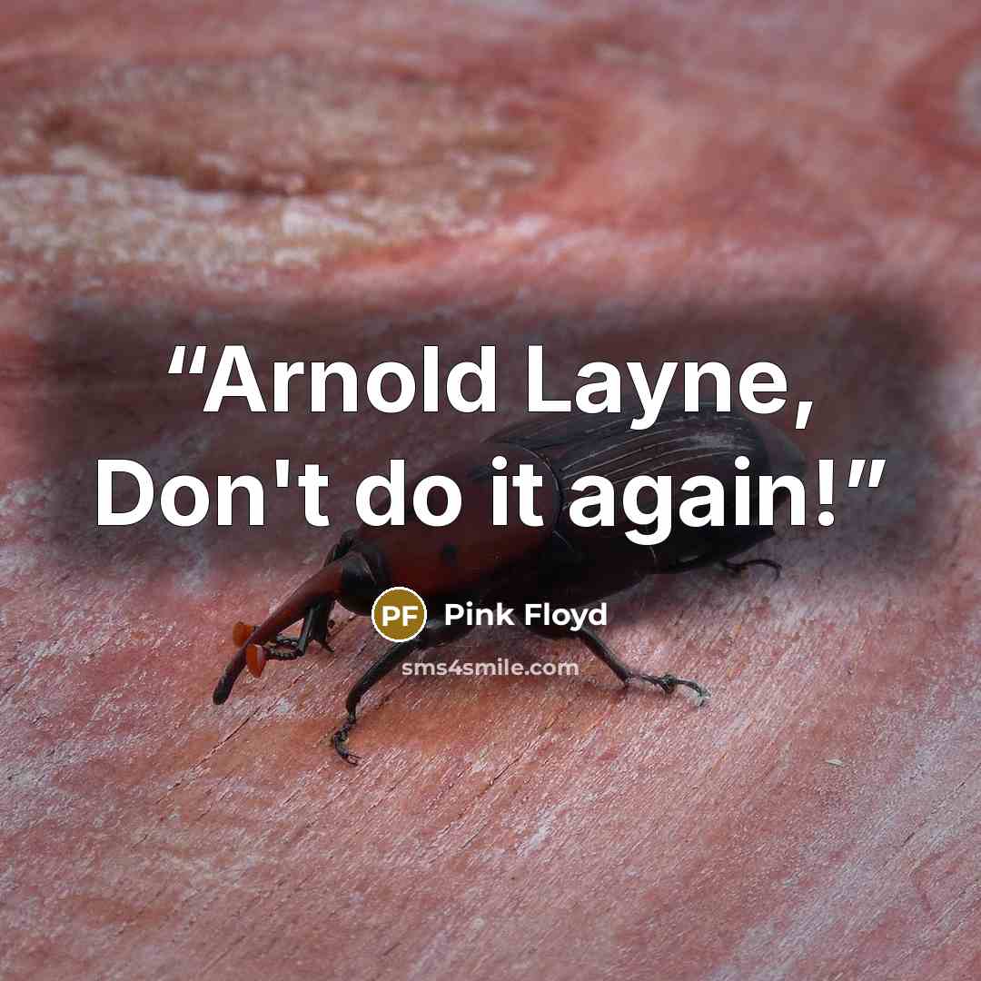 “Arnold Layne, Don't do it again!” quote by Pink Floyd