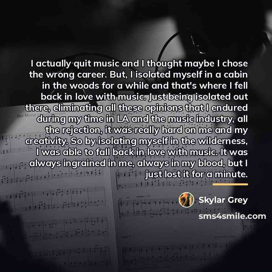 “I actually quit music and I thought maybe I chose…” quote by Skylar Grey