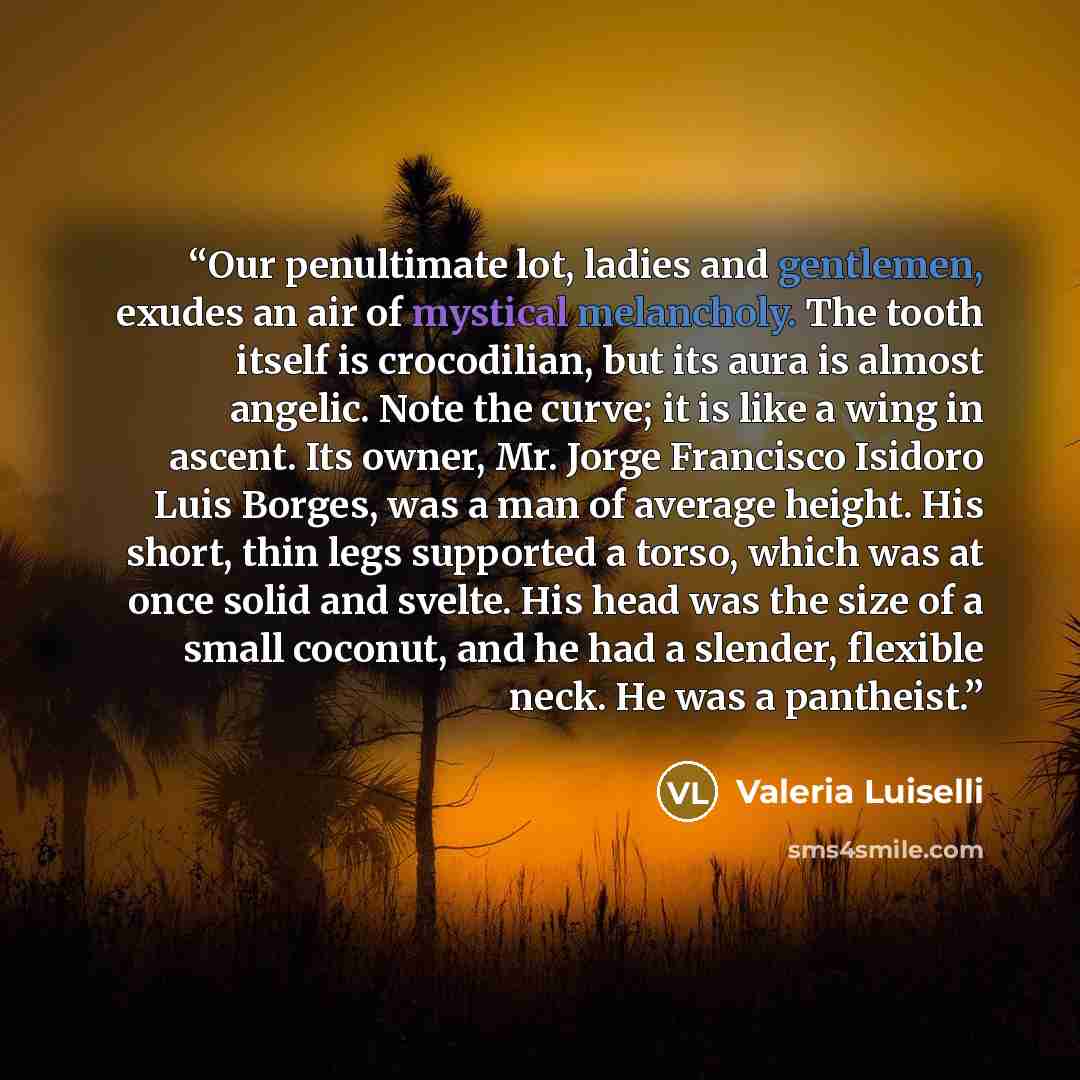 “Our penultimate lot, ladies and gentlemen, exudes an air of mystical melancholy. The tooth itself is crocodilian, but its aura is almost angelic. Note the curve; it is like a wing in ascent. Its owner, Mr. Jorge Francisco Isidoro Luis Borges, was a man of average height. His short, thin legs…” quote by Valeria Luiselli