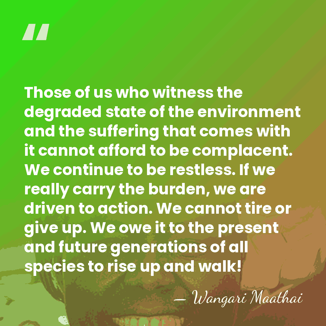 Those of us who witness the degraded state of the environment and&hellip; - Wangari Maathai
