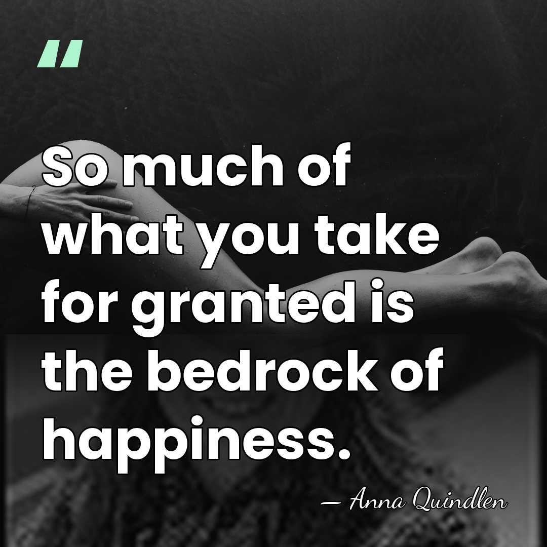 So much of what you take for granted is the bedrock of&hellip; - Anna Quindlen