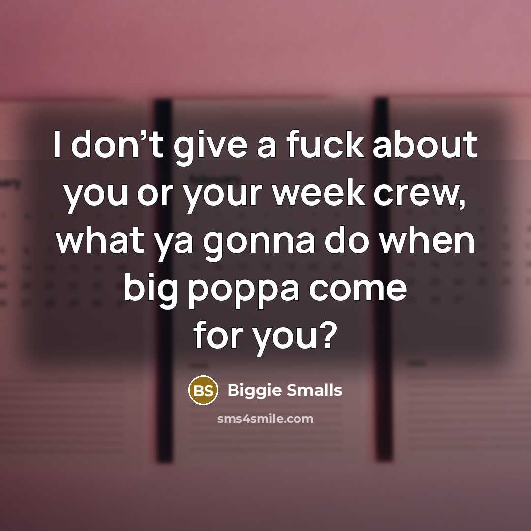 “I don't give a fuck about you or your week crew, what ya gonna do when big poppa come for you?” quote by Biggie Smalls