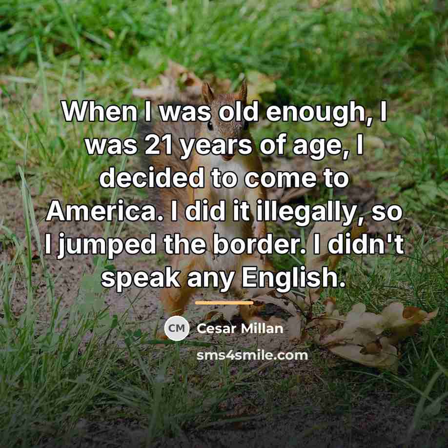 “When I was old enough, I was 21 years of…” quote by Cesar Millan