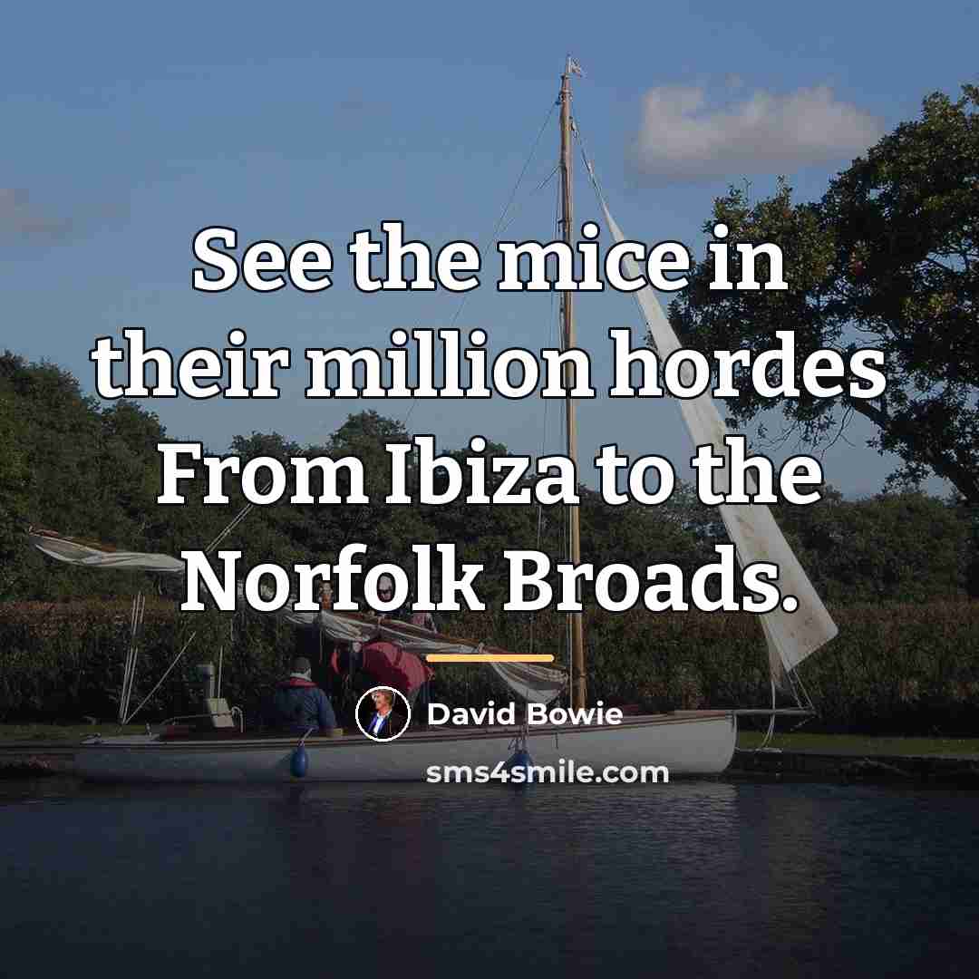 “See the mice in their million hordes From Ibiza to…” quote by David Bowie