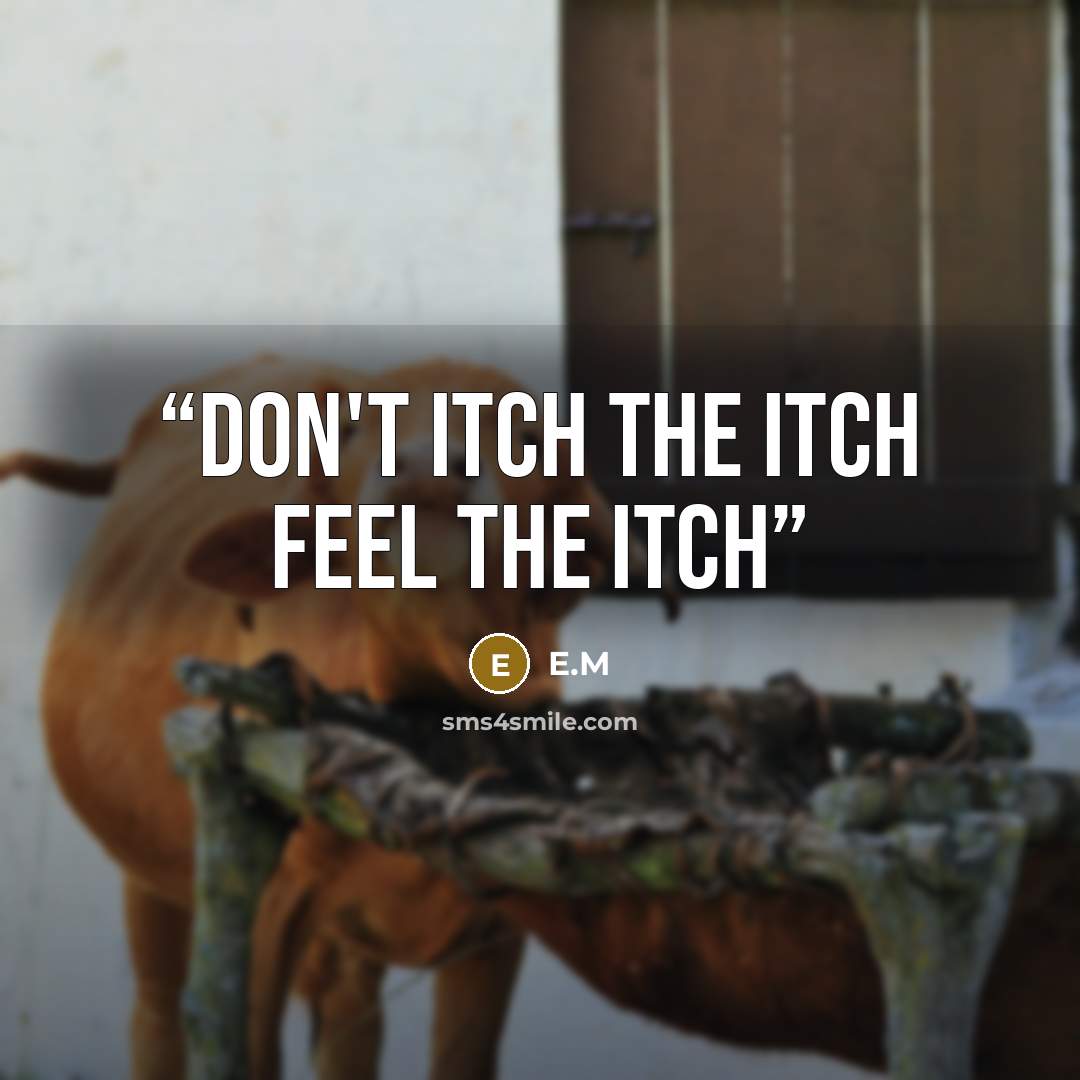 “Don't itch the itch feel the itch” quote by E.M
