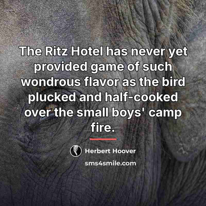 “The Ritz Hotel has never yet provided game of such…” quote by Herbert Hoover