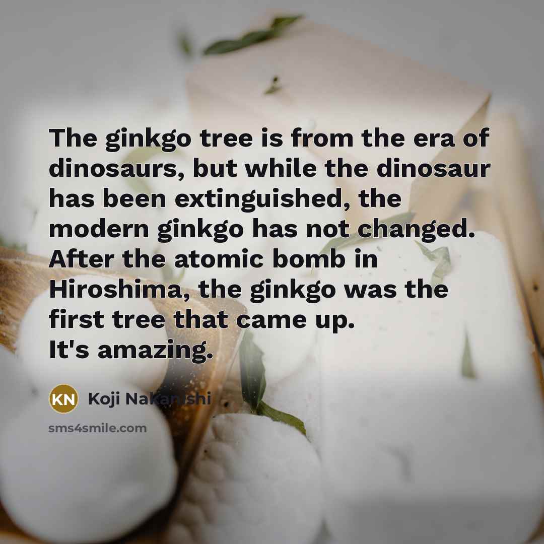 “The ginkgo tree is from the era of dinosaurs, but…” quote by Koji Nakanishi