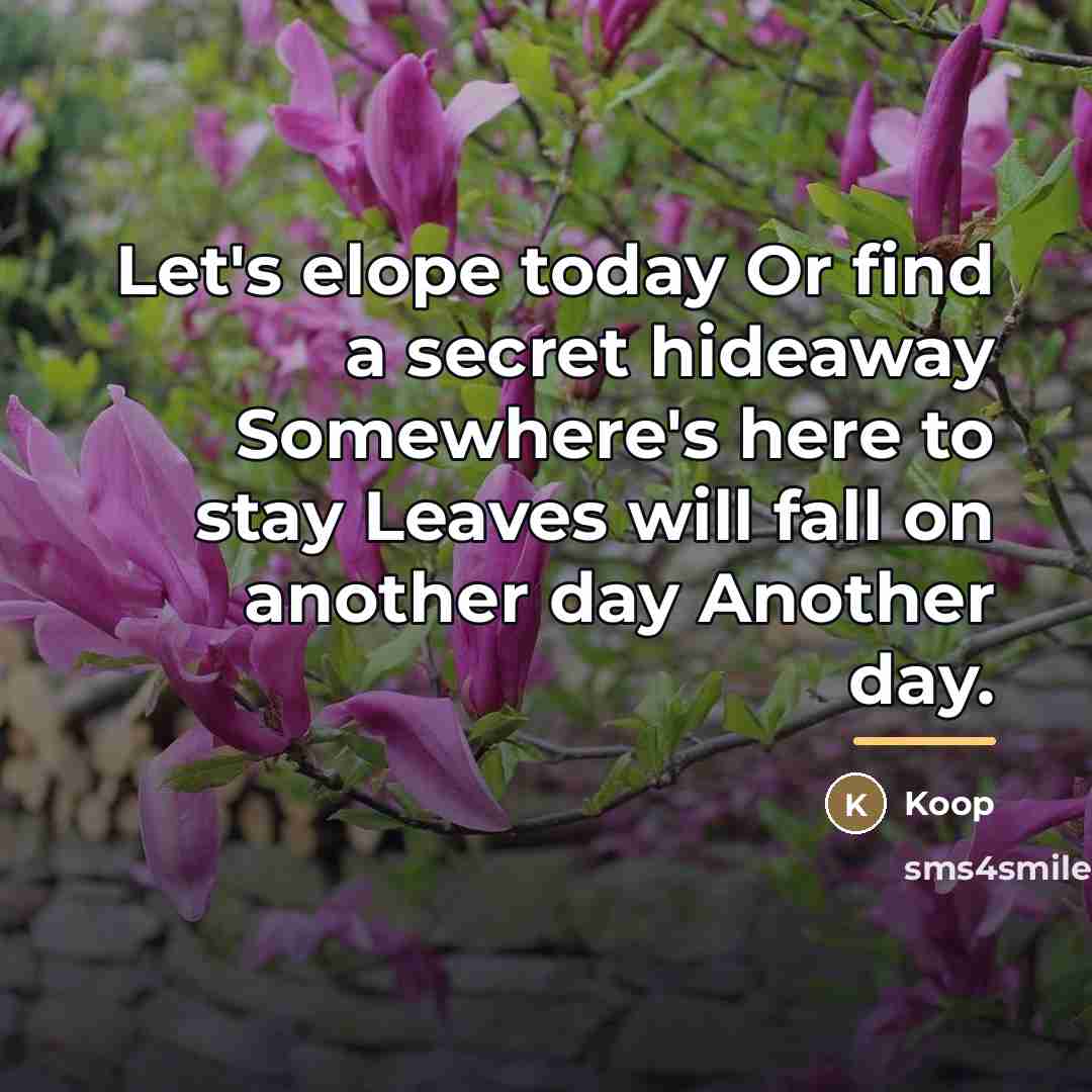 “Let's elope today Or find a secret hideaway Somewhere's here…” quote by Koop