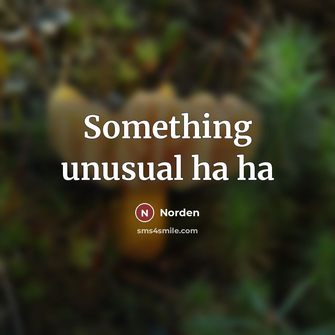 “Something unusual ha ha…” quote by Norden