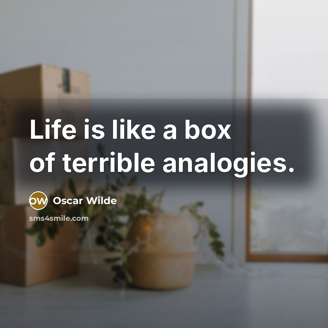 “Life is like a box of terrible analogies.…” quote by Oscar Wilde