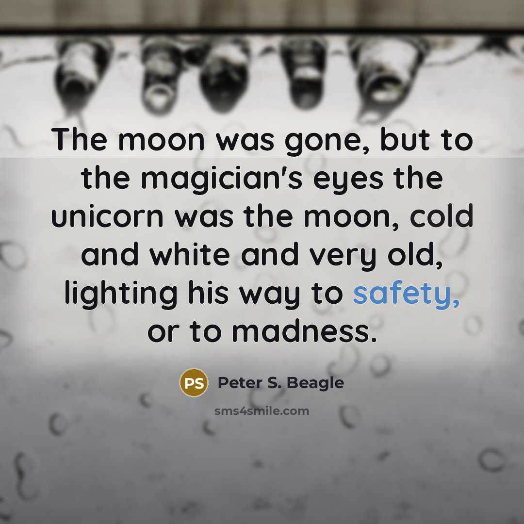 “The moon was gone, but to the magician's eyes the…” quote by Peter S. Beagle