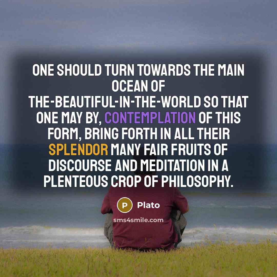 “One should turn towards the main ocean of the-beautiful-in-the-world so…” quote by Plato
