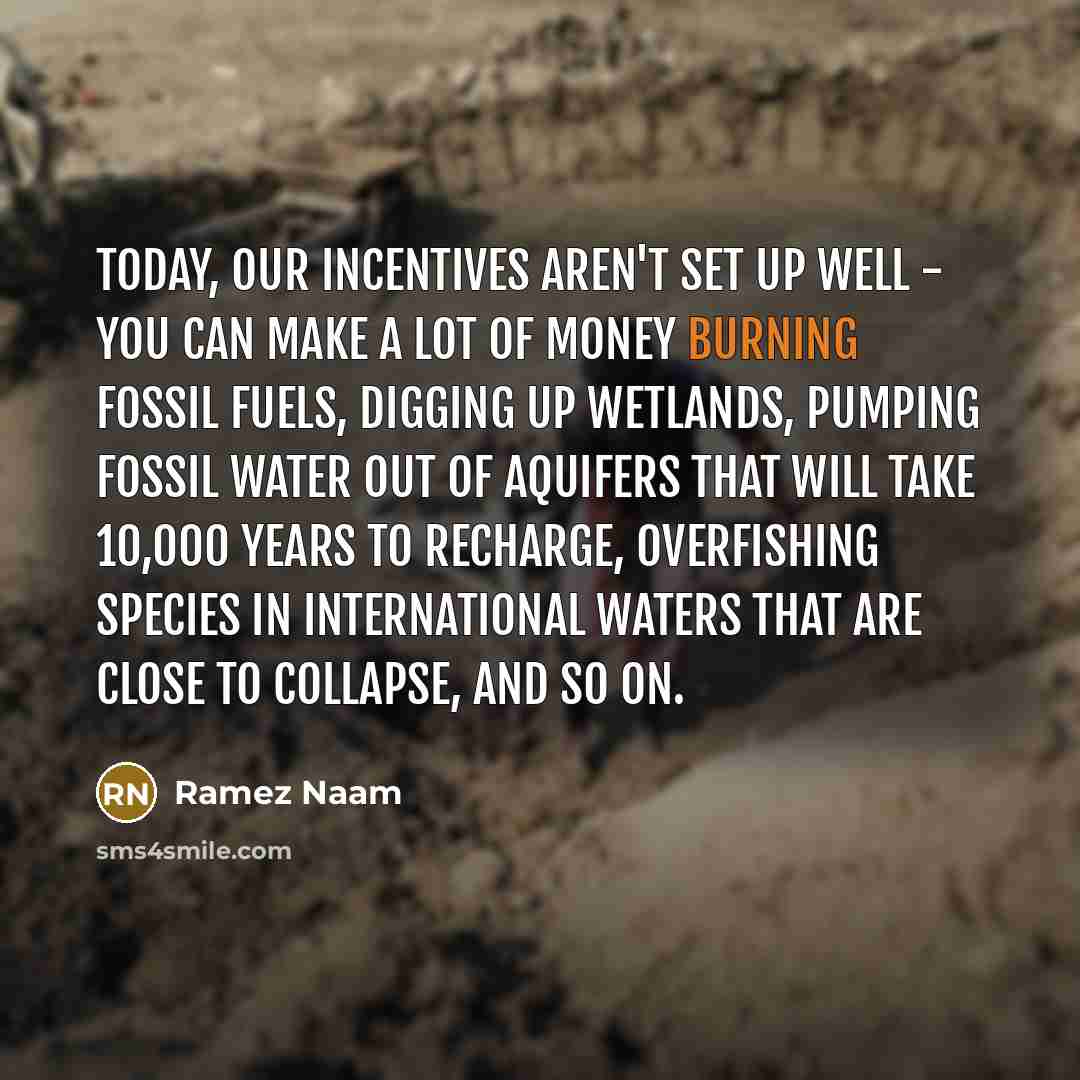 “Today, our incentives aren't set up well - you can…” quote by Ramez Naam