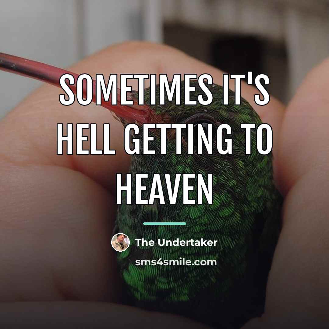 “Sometimes it's hell getting to heaven…” quote by The Undertaker