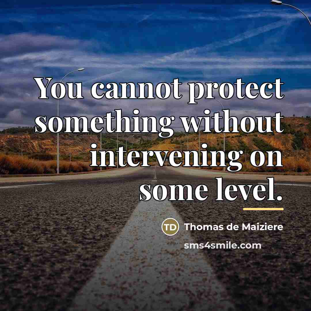 “You cannot protect something without intervening on some level.…” quote by Thomas de Maiziere