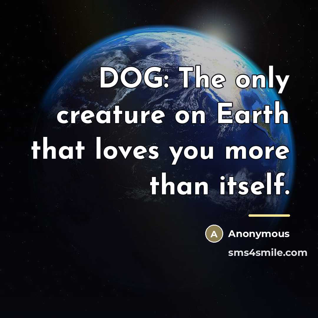 “DOG: The only creature on Earth that loves you more…” quote by Anonymous