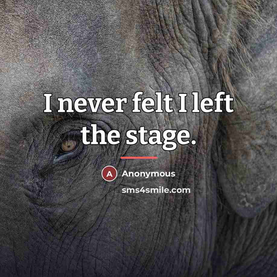 “I never felt I left the stage.…” quote by Anonymous