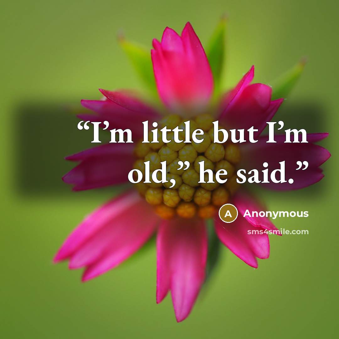 “I’m little but I’m old,” he said.” quote by Anonymous