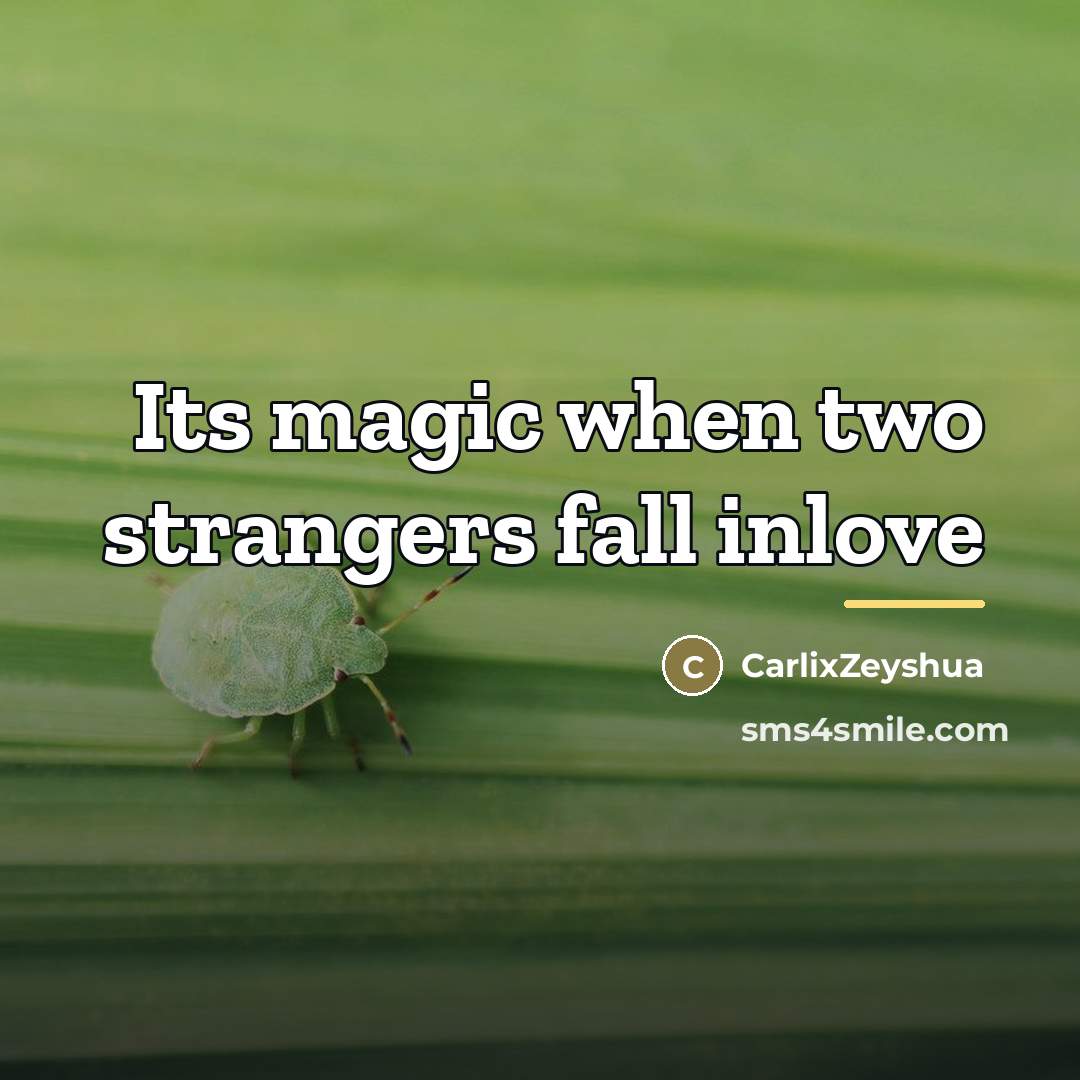 “Its magic when two strangers fall inlove…” quote by CarlixZeyshua