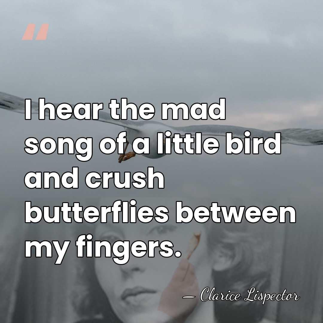 I hear the mad song of a little bird and crush butterflies&hellip; - Clarice Lispector