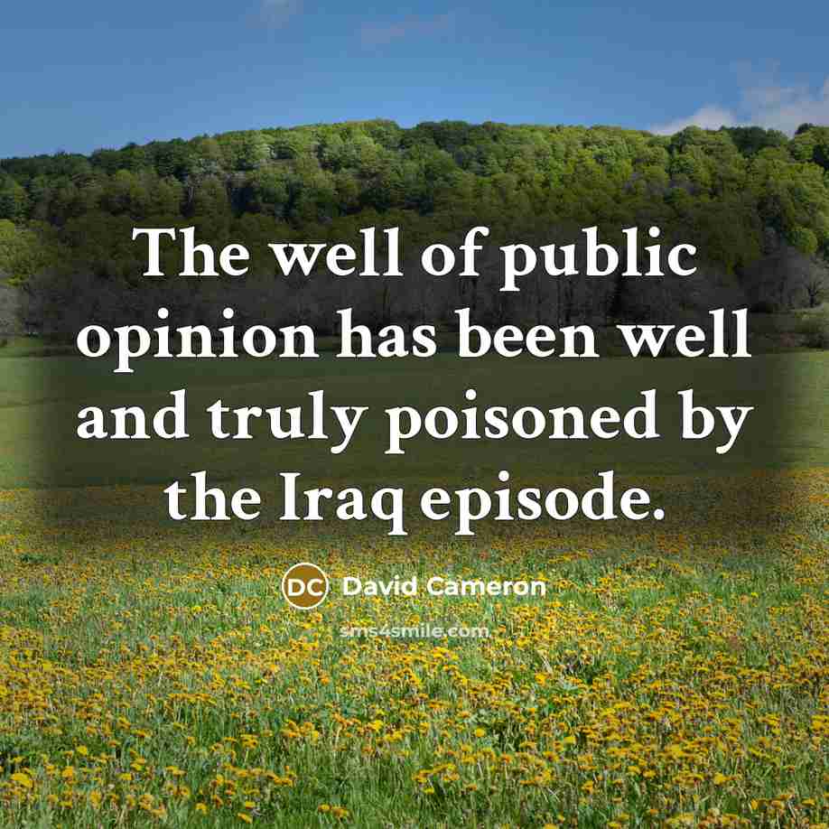 “The well of public opinion has been well and truly…” quote by David Cameron