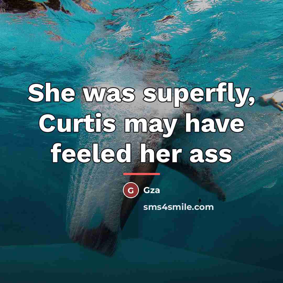 “She was superfly, Curtis may have feeled her ass…” quote by GZA