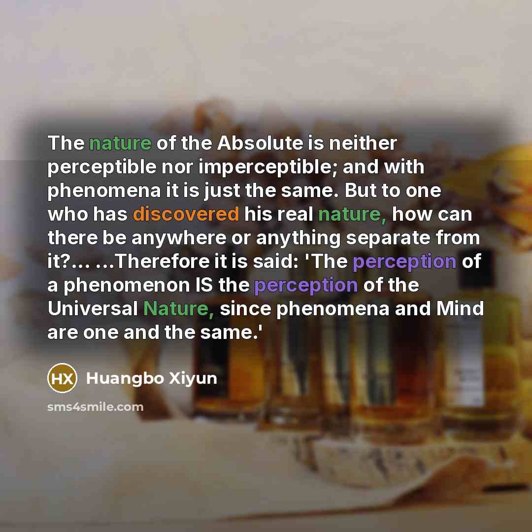 “The nature of the Absolute is neither perceptible nor imperceptible;…” quote by Huangbo Xiyun